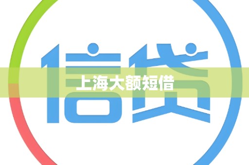 上海大额短借 上海大额短借